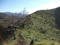 nte Mojo-30122011 066